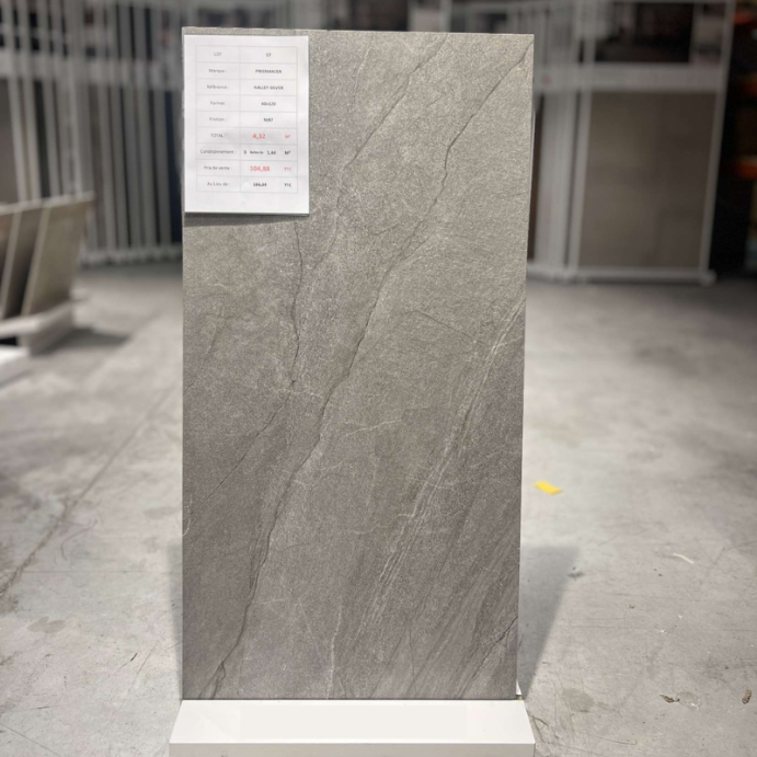 HALLEY Silver, Carrelage intérieur 60x120, (Lot de 4.32 m²)