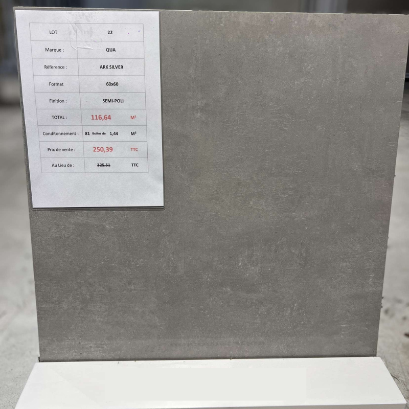 ARK Silver Poli, Carrelage intérieur 60x60