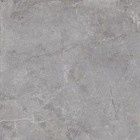 EVOLUTION Grey, Carrelage intérieur