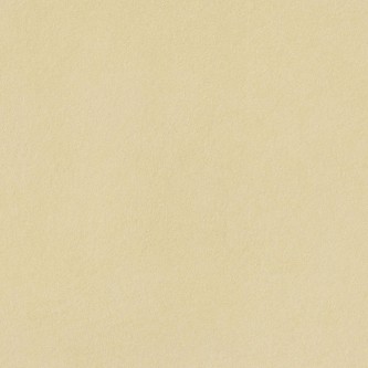 DECORA Limone, Carrelage intérieur
