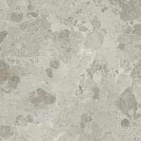 DALLE PETRAVIVA Greige, Carrelage extérieur 2 cm