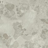PETRAVIVA Greige, Carrelage extérieur