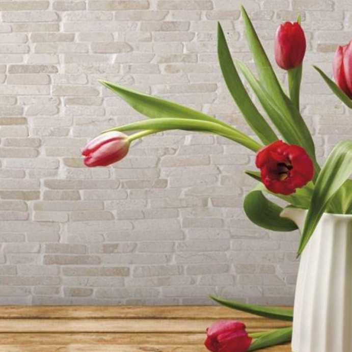 NUSA Blanca, Parement