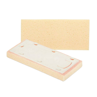 Eponge de rechange Sweepex [13 x 30 cm]