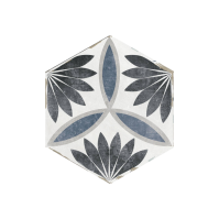 CAPRI Nora, Mosaïque Hexagone