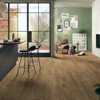 GREENWOOD Oak Gold, Carrelage intérieur