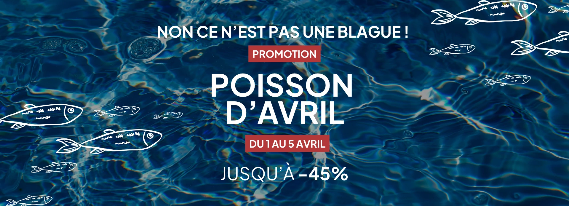 OFFRES POISSON D'AVRIL